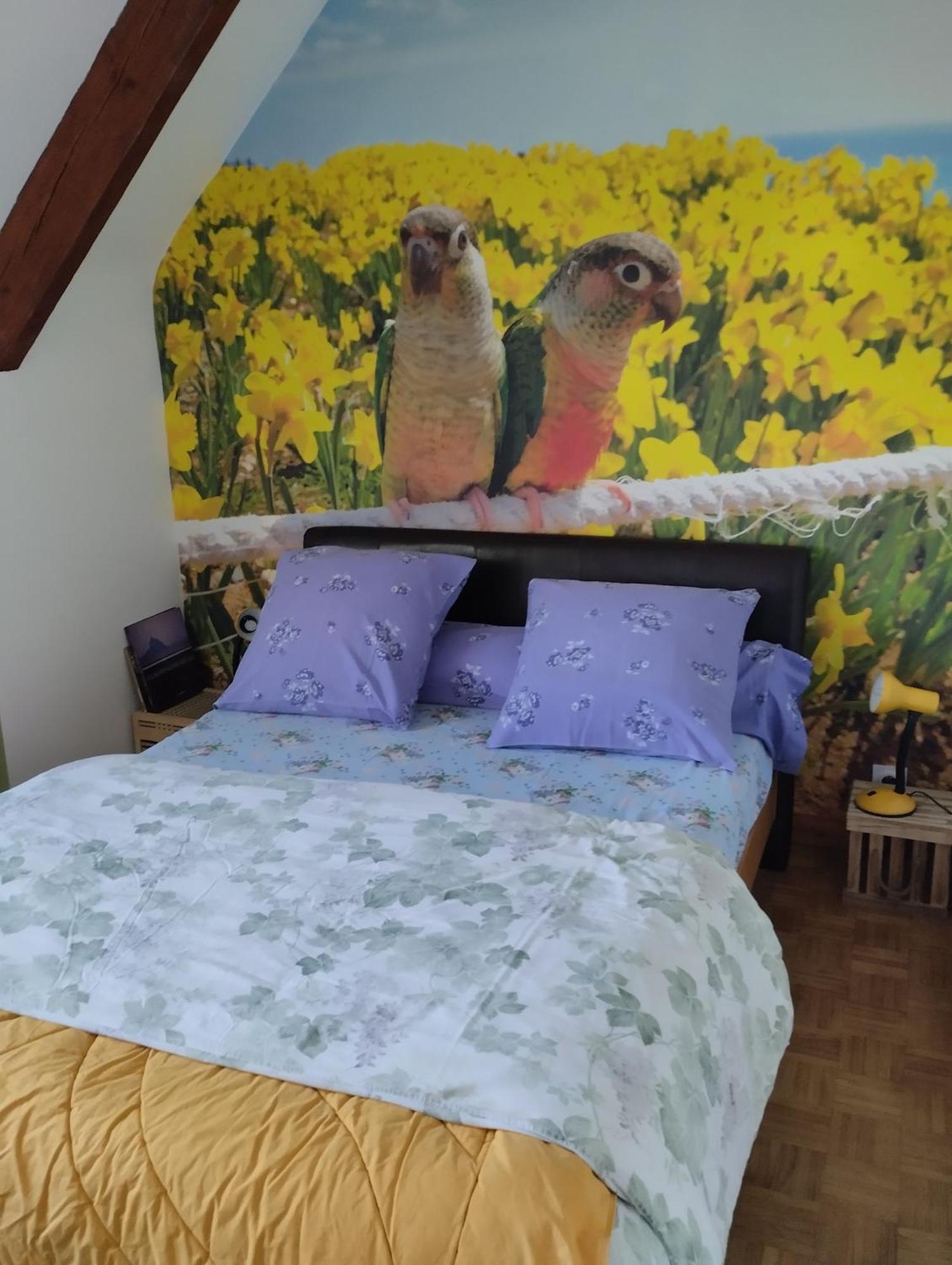 Chambres D'Hotes Du Clos Du Roi Pontorson Kültér fotó